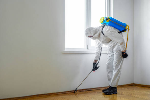 Best Best Pest Control Companies  in Tremonton, UT