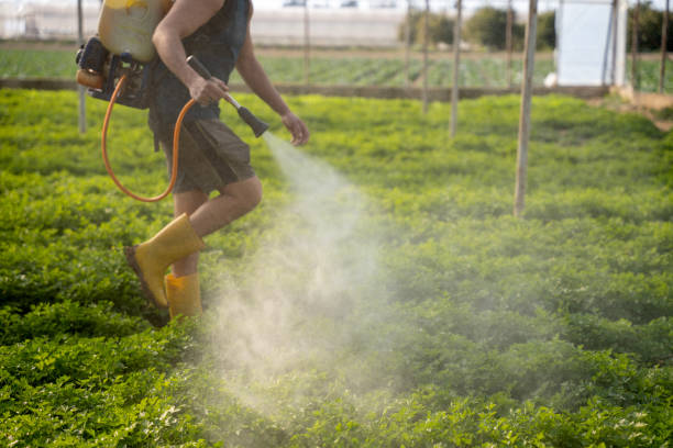 Professional Pest Control in Tremonton, UT