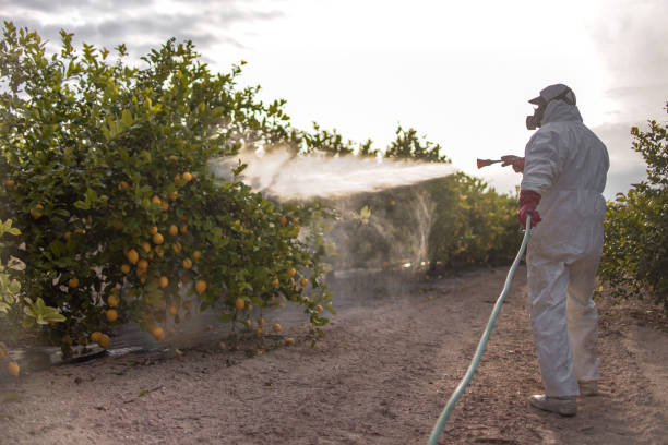 Best Residential Pest Control  in Tremonton, UT