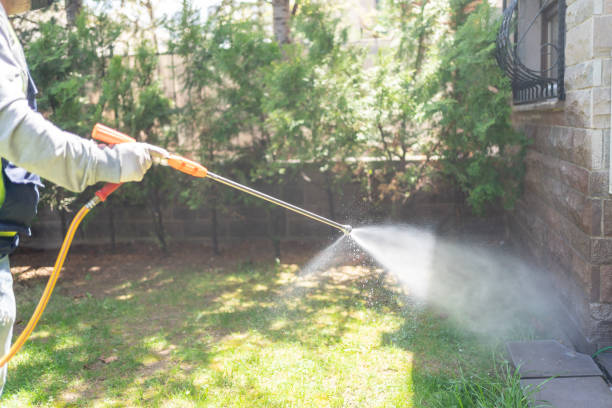 Best Termite Control Services  in Tremonton, UT