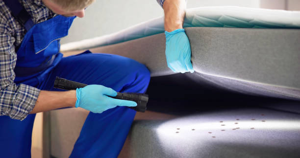 Best Bed Bug Extermination  in Tremonton, UT