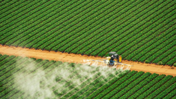 Best Mosquito Control Services  in Tremonton, UT