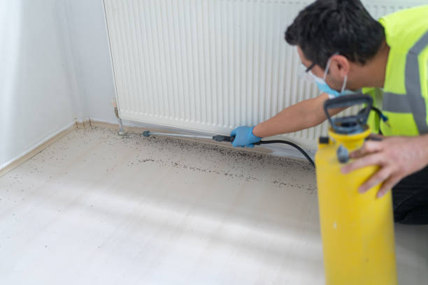 Flea Control Services in Tremonton, UT